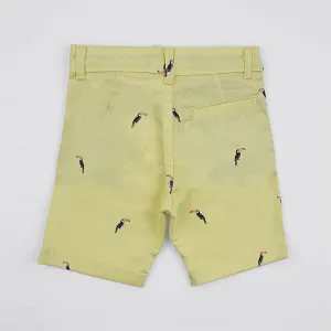 Boys Chino Shorts