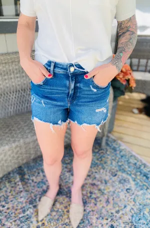 Distressed High Waist Shorts Vervet