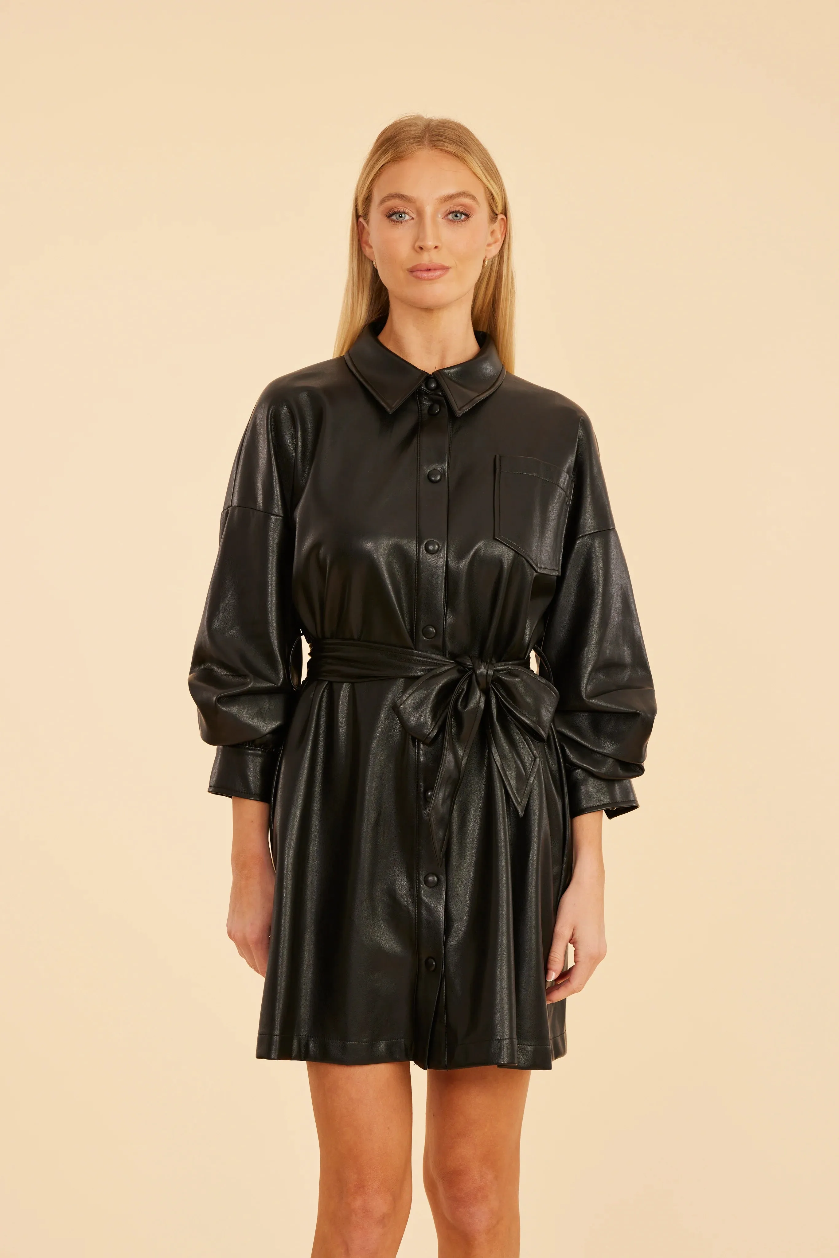 Everly Dress Jacket