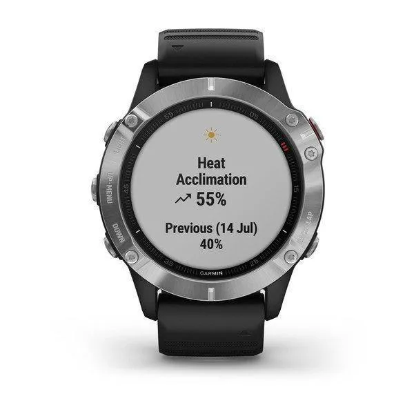 Garmin Fenix 6 Silver with Black Band 47mm