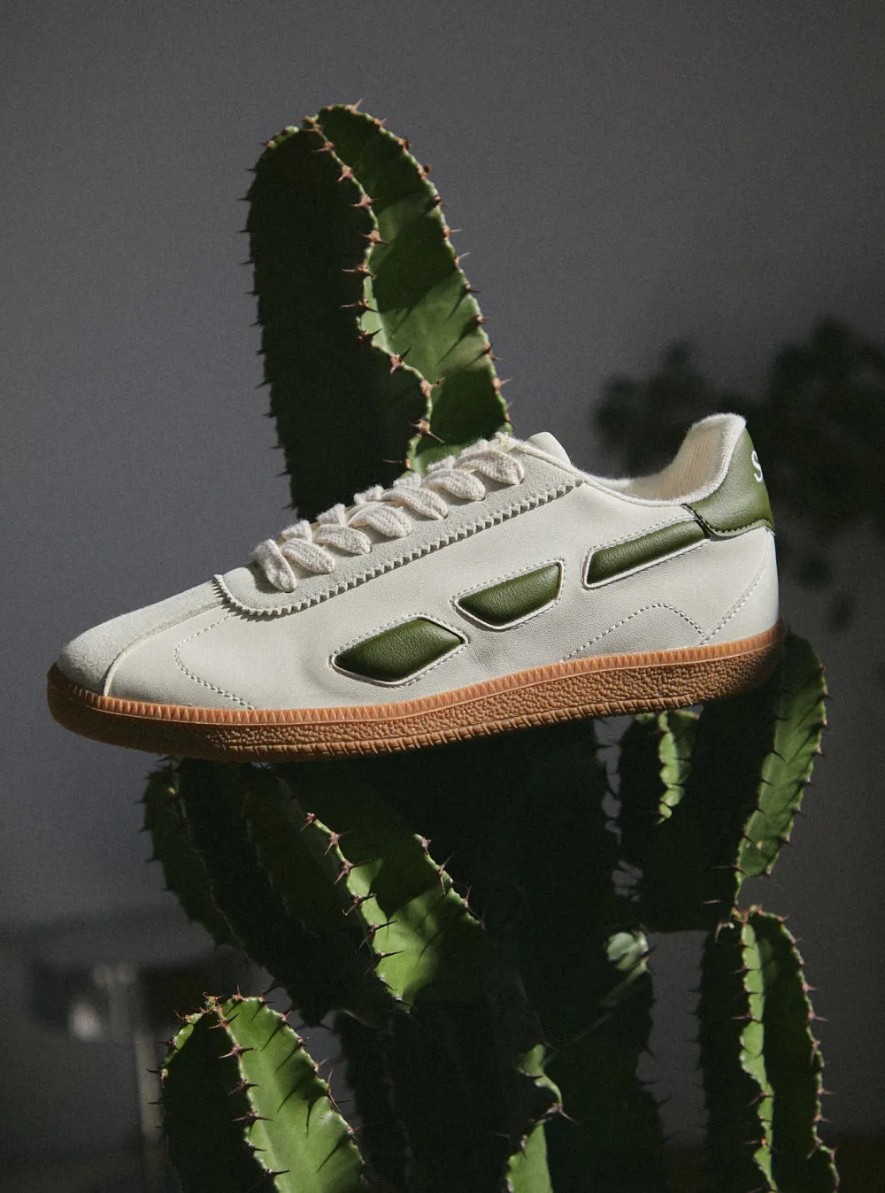 M70 Dart Cactus - Basil