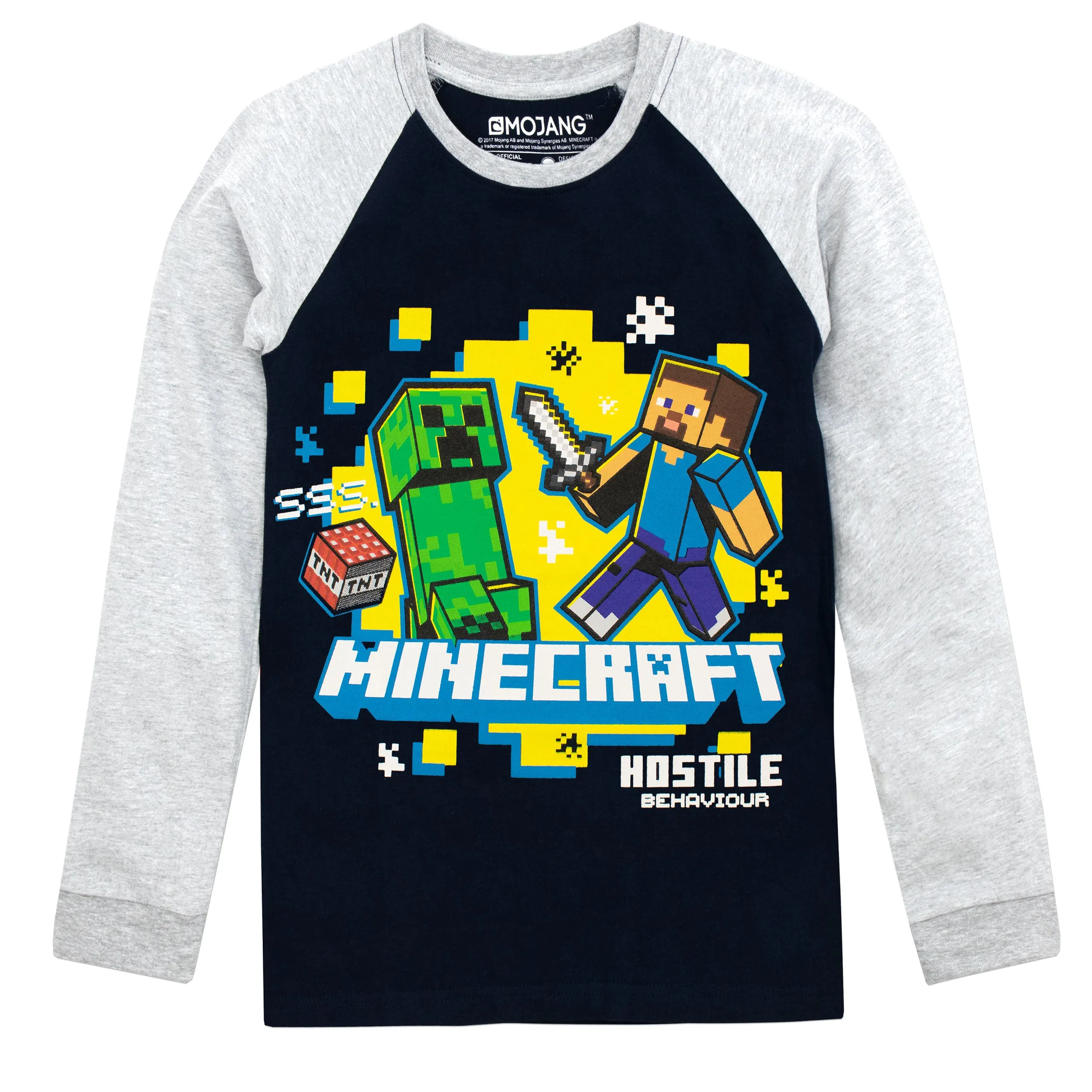 Minecraft Longsleeve Top