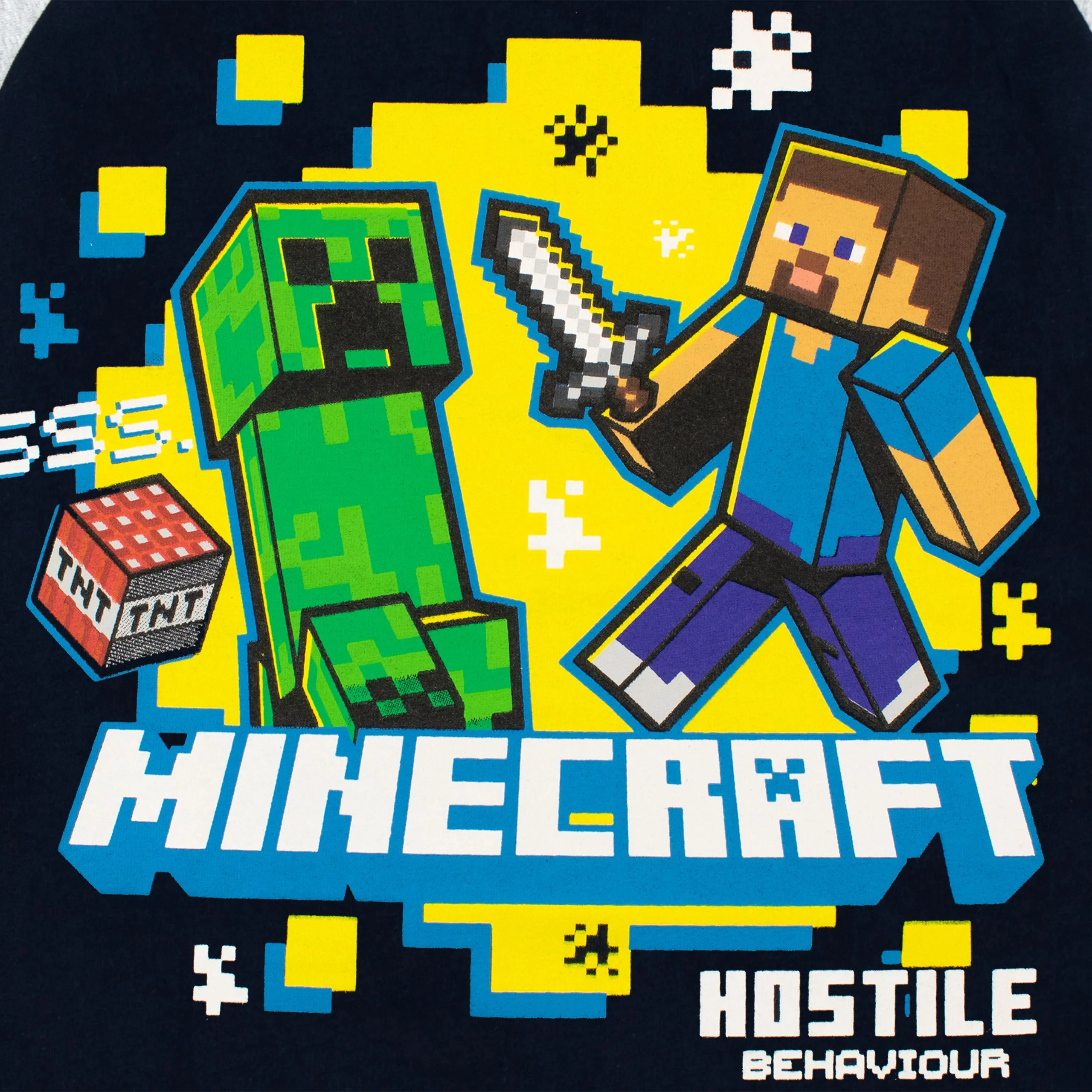 Minecraft Longsleeve Top