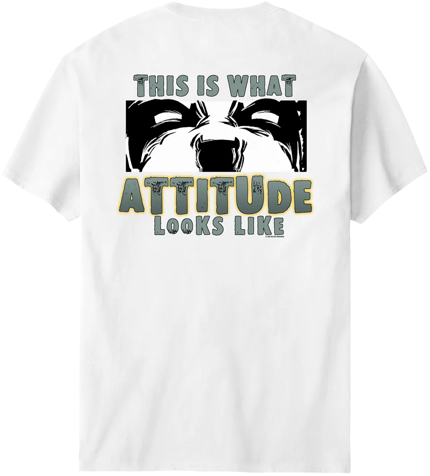 This Is What Attitude Looks Like T-Shirt