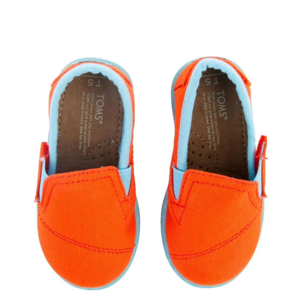 Tiny Toms Avalon Fiesta Canvas
