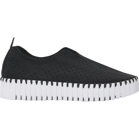 Tulip 3373 - Platform