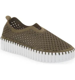 Tulip 3373 - Platform