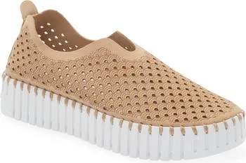 Tulip 3373 - Platform