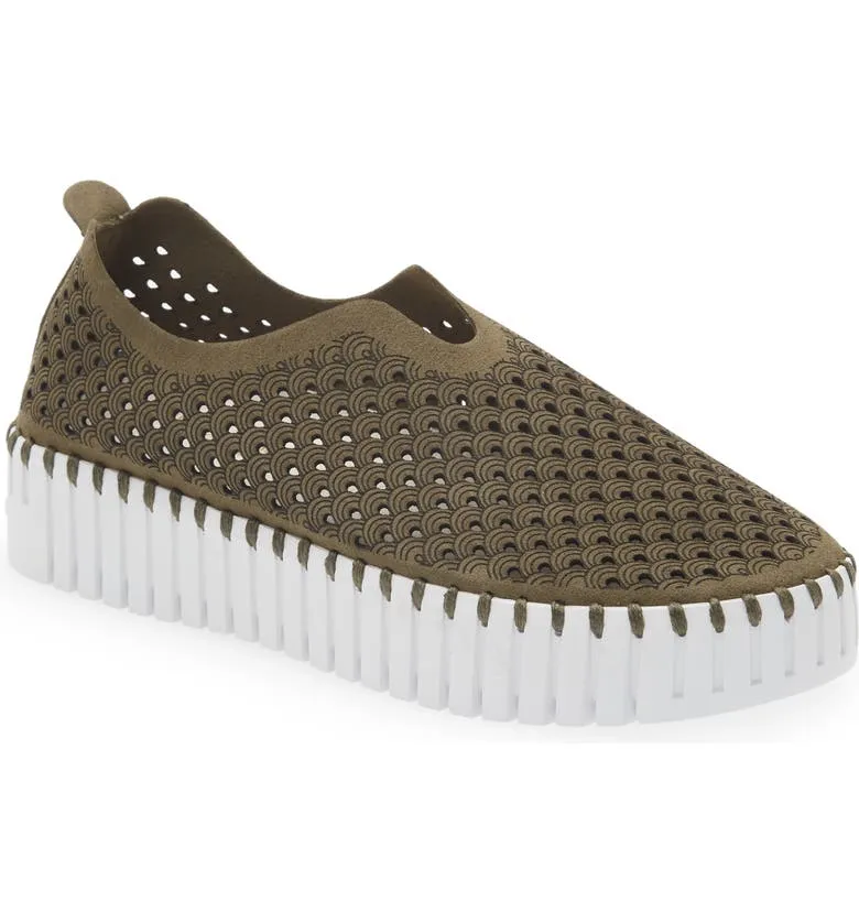 Tulip 3373 - Platform