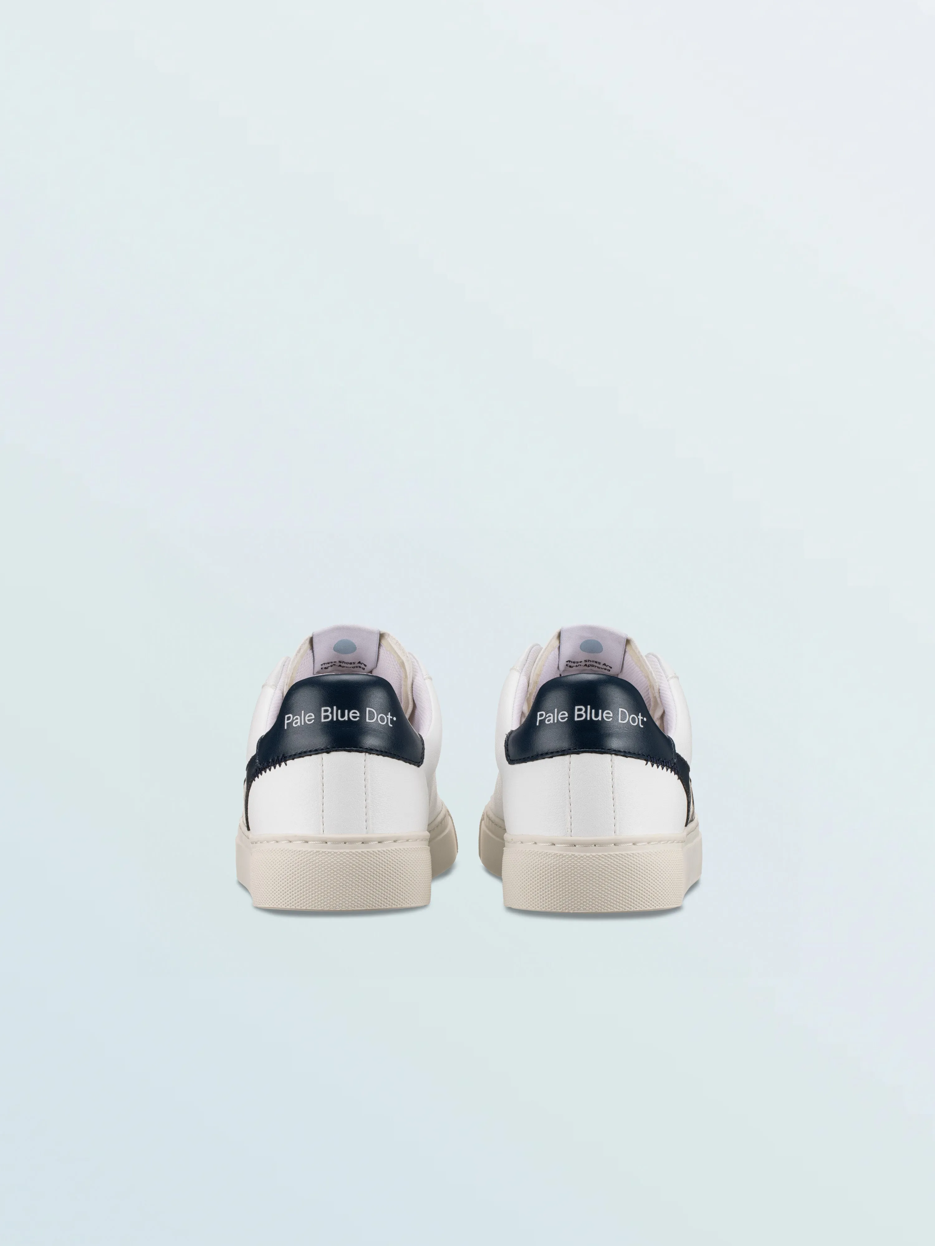 Vegan 01 Iceberg